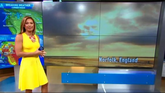 Associated Press, Media Analyst Call ABC Meteorologist Weather “Pornographer” for Not Hyping Climate Change Enough